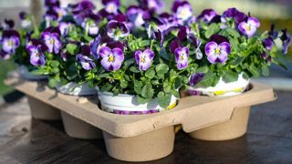 D-Grade Fibre ©Desch